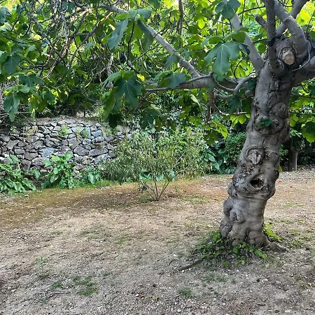 A Historic Stone With Private Garden, Terrace And Private Pool Just For Klirou