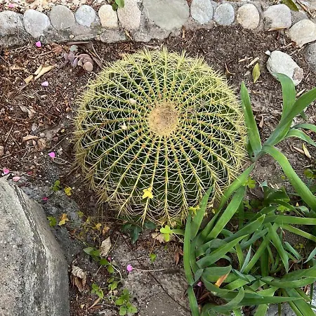 别墅 A Historic Stone With Private Garden, Terrace And Private Pool Just For *