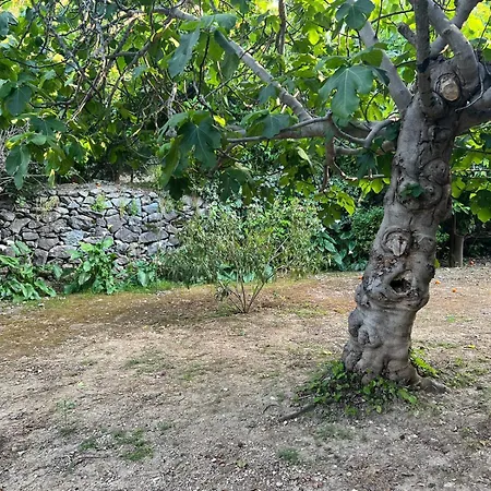 A Historic Stone With Private Garden, Terrace And Private Pool Just For * Klirou