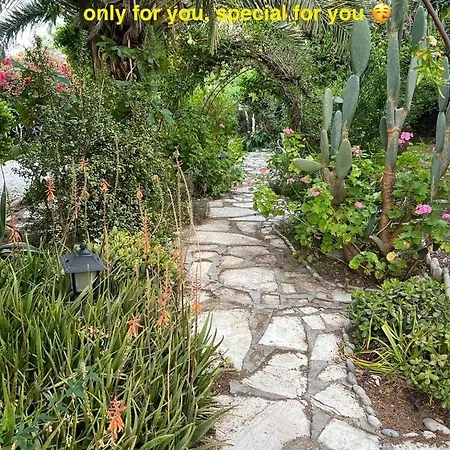 A Historic Stone With Private Garden, Terrace And Private Pool Just For 别墅 Klirou