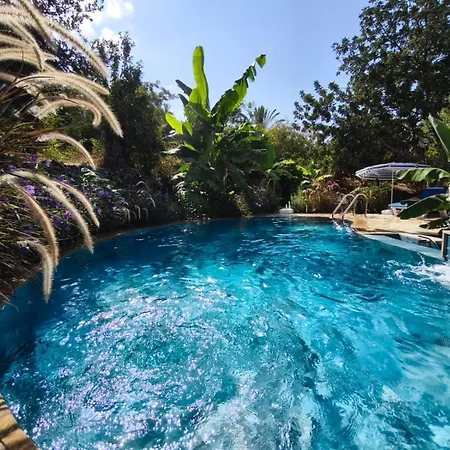 别墅 A Historic Stone With Private Garden, Terrace And Private Pool Just For Klirou