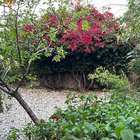 A Historic Stone With Private Garden, Terrace And Private Pool Just For 빌라 Klirou