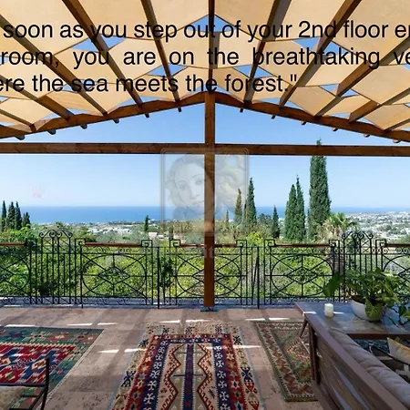 Historic Stone Villa With Private Pool, Garden & Full Sea View 别墅 凯里尼亚