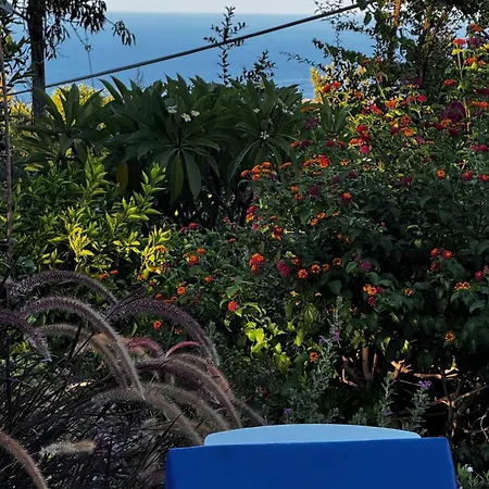 A Historic Stone With Private Garden, Terrace And Private Pool Just For *