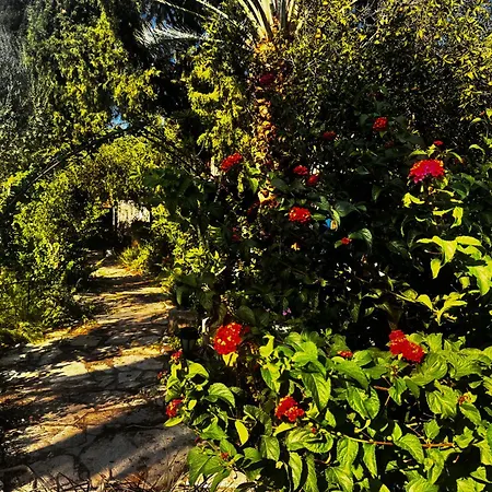 A Historic Stone With Private Garden, Terrace And Private Pool Just For * Kyrenia (Northern Cyprus)