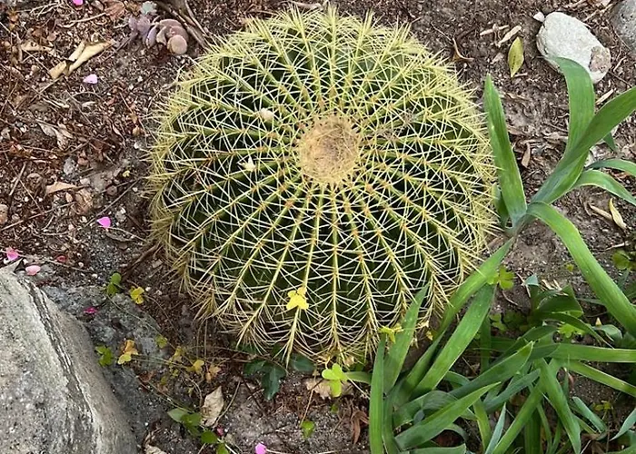 Vila A Historic Stone With Private Garden, Terrace And Private Pool Just For *