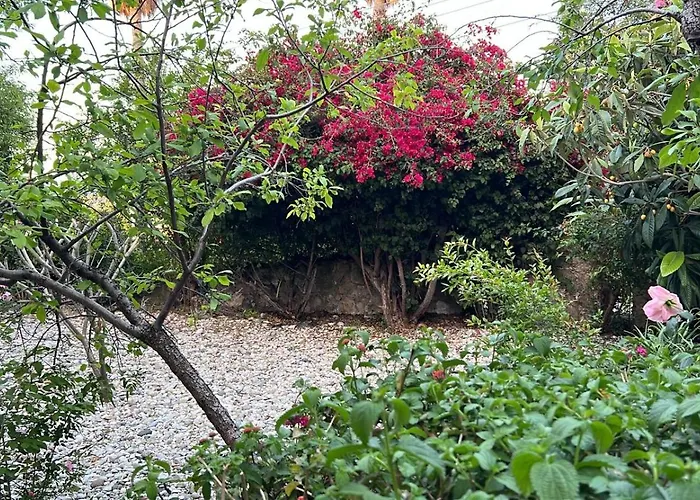 A Historic Stone With Private Garden, Terrace And Private Pool Just For Villa Kerínia