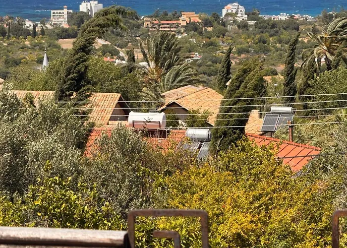 Vila A Historic Stone With Private Garden, Terrace And Private Pool Just For *