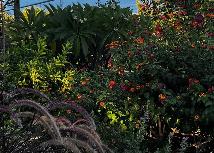 A Historic Stone With Private Garden, Terrace And Private Pool Just For *