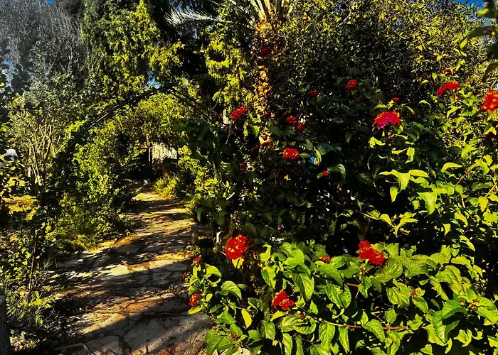 A Historic Stone With Private Garden, Terrace And Private Pool Just For * Klirou